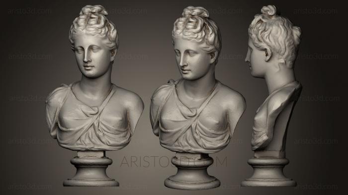 Busts and heads antique and historical (BUSTA_0534) 3D model for CNC machine